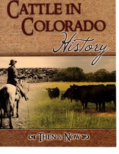 Cattle in Colorado History