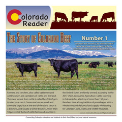 Reader_2020-2021_Beef_cover-web