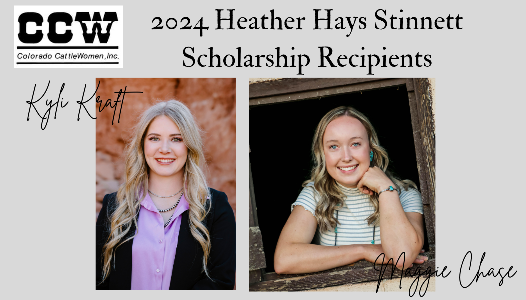 2024 Heather Hays Stinnett Scholarship Recipients