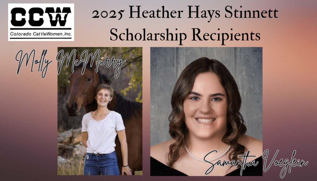2025 Heather Hays Stinnett Scholarship Recipients