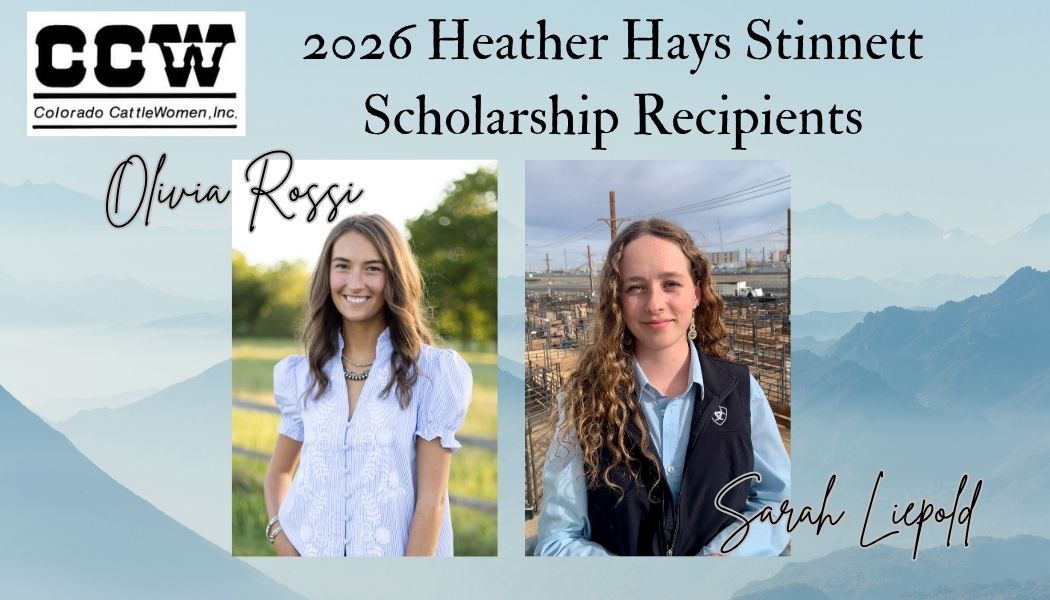 2026 HHS scholarship recipient